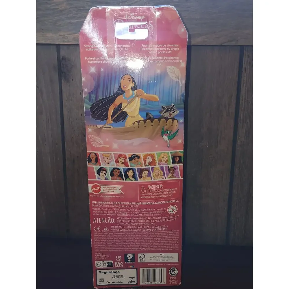 Disney princess pocahontas